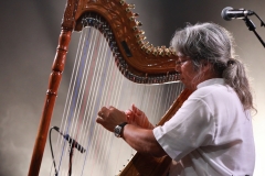 rencontres-internationales-de-harpe-celtique-Dinan-juillet-2022
