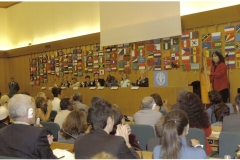 2006 FAO Rome